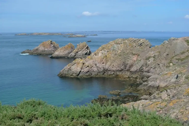 Pêche à pied