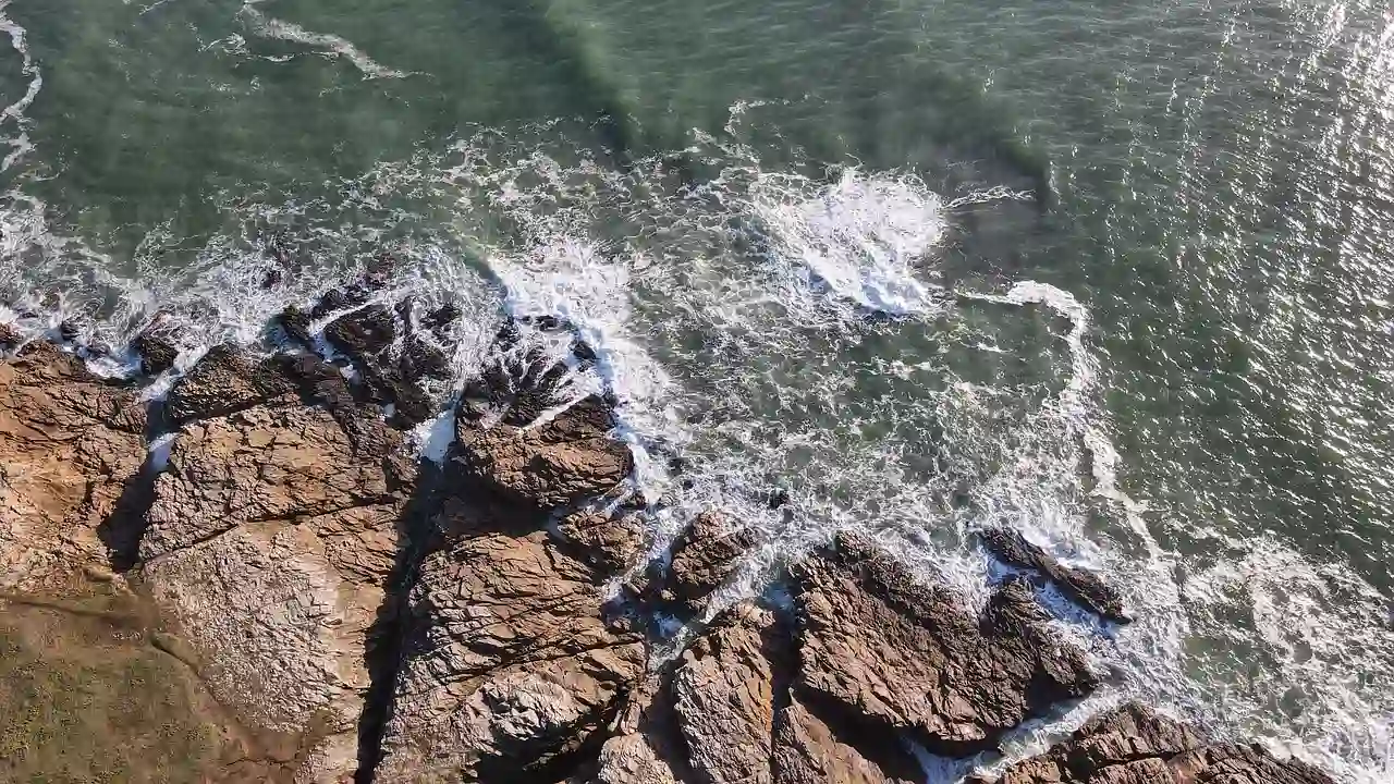 Pêche à pied dans le Morbihan